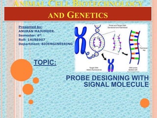 ANIMAL CELL BIOTECHNOLOGY
AND GENETICS
Presented by:
ANURAN MAJUMDER.
Semester: 4th
Roll: 14UBE007
Department: BIOENGINEERING
TOPIC:
PROBE DESIGNING WITH
SIGNAL MOLECULE
 