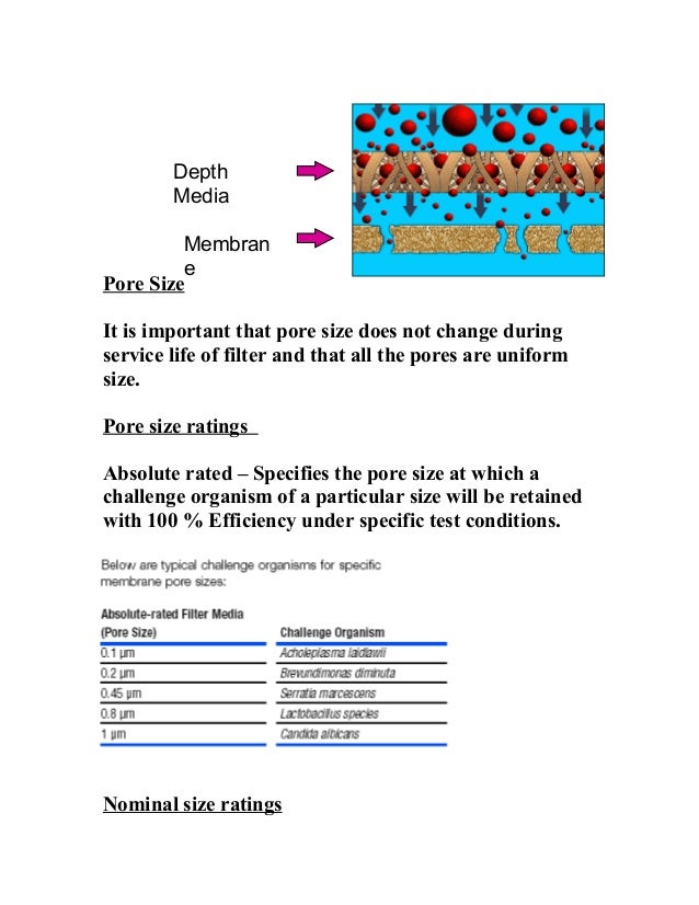 Principles of filtration