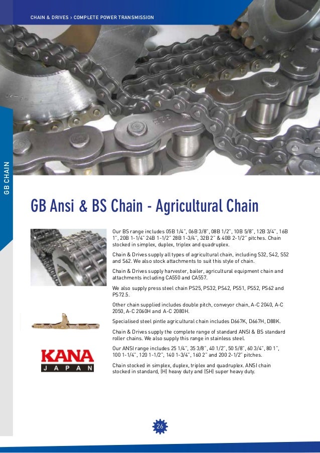 Chain & Drives Overview