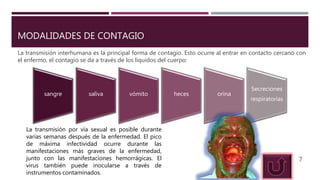 MODALIDADES DE CONTAGIO
La transmisión interhumana es la principal forma de contagio. Esto ocurre al entrar en contacto cercano con
el enfermo, el contagio se da a través de los líquidos del cuerpo:
7
sangre saliva vómito heces orina
Secreciones
respiratorias
La transmisión por vía sexual es posible durante
varias semanas después de la enfermedad. El pico
de máxima infectividad ocurre durante las
manifestaciones más graves de la enfermedad,
junto con las manifestaciones hemorrágicas. El
virus también puede inocularse a través de
instrumentos contaminados.
 