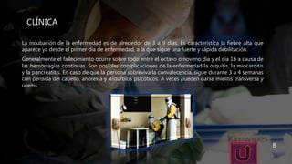 CLÍNICA
La incubación de la enfermedad es de alrededor de 3 a 9 días. Es característica la fiebre alta que
aparece ya desde el primer día de enfermedad, a la que sigue una fuerte y rápida debilitación.
Generalmente el fallecimiento ocurre sobre todo entre el octavo o noveno día y el día 16 a causa de
las hemorragias continuas. Son posibles complicaciones de la enfermedad la orquitis, la miocarditis
y la pancreatitis. En caso de que la persona sobreviva la convalecencia, sigue durante 3 a 4 semanas
con pérdida del cabello, anorexia y disturbios psicóticos. A veces pueden darse mielitis transversa y
uveítis.
8
 