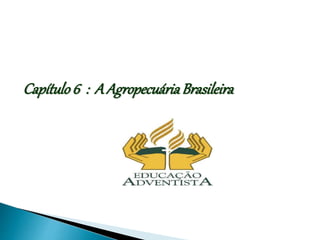 Capítulo6 : A AgropecuáriaBrasileira
 