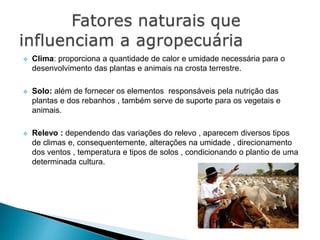  Clima: proporciona a quantidade de calor e umidade necessária para o
desenvolvimento das plantas e animais na crosta terrestre.
 Solo: além de fornecer os elementos responsáveis pela nutrição das
plantas e dos rebanhos , também serve de suporte para os vegetais e
animais.
 Relevo : dependendo das variações do relevo , aparecem diversos tipos
de climas e, consequentemente, alterações na umidade , direcionamento
dos ventos , temperatura e tipos de solos , condicionando o plantio de uma
determinada cultura.
 