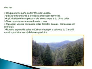 ClimaFrio:
Ocupa grande parte do território do Canadá.
Baixas temperaturas e elevadas amplitudes térmicas.
A pluviosidade é um pouco mais elevada que a do clima polar.
Neve durante seis meses durante o ano.
Paisagem vegetal composta pelas florestas boreais, compostas por
coníferas.
Floresta explorada pelas indústrias de papel e celulose do Canadá ,
o maior produtor mundial desses produtos.
 