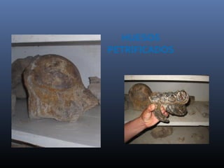 ARQUEOLOGIA PREHISPANICA EN CHUCHINI “Madriguera del Tigre” | PPT