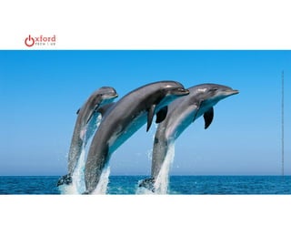 Oxford Tech + UX: DAA Symposium, November 13, 2014 | 
http://static.guim.co.uk/sys-images/Guardian/Pix/pictures/2011/8/22/1314031516692/A-boy-jumps-off-a-diving--007.jpg 
 