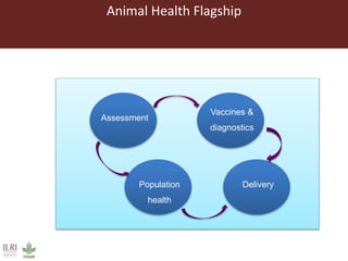 Approaches in livestock animal health research and management