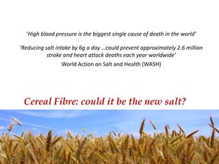 ‘High blood pressure is the biggest single cause of death in the world’ ‘Reducing salt intake by 6g a day …could prevent approximately 2.6 million stroke and heart attack deaths each year worldwide’ World Action on Salt and Health (WASH)  Cereal Fibre: could it be the new salt? 