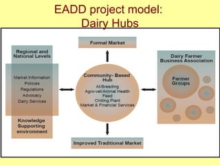 Adversity as opportunity: Complexity and diversity as new frontiers in development research, October 2008