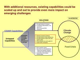 Adversity as opportunity: Complexity and diversity as new frontiers in development research, October 2008
