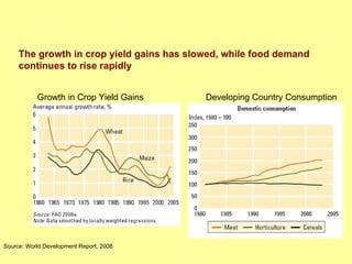 Adversity as opportunity: Complexity and diversity as new frontiers in development research, October 2008