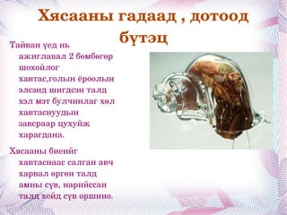 Нялаахай/ Зөөлөн биетэн / Зорилго 