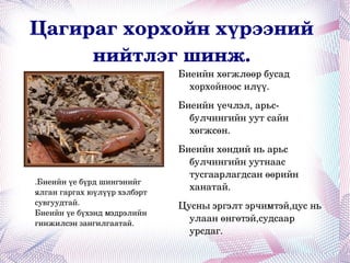 Цагираг хорхойн хүрээний нийтлэг шинж. Биеийн хөгжлөөр бусад хорхойноос илүү. 