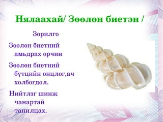 Биеийн хөндий нь арьс булчингийн уутнаас тусгаарлагдсан өөрийн ханатай. 