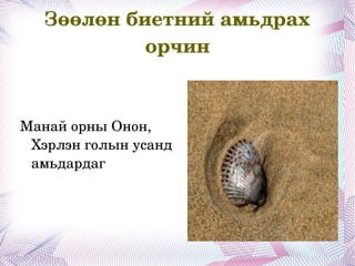 Цусны эргэлт эрчимтэй,цус нь улаан өнгөтэй,судсаар урсдаг. . Биеийн үе бүрд шингэнийг ялган гаргах юүлүүр хэлбэрт сувгуудтай. Биеийн үе бүхэнд мэдрэлийн гинжилсэн зангилгаатай. 