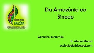 Da Amazônia ao
Sínodo
Caminho percorrido
Ir. Afonso Murad
ecologiaefe.blogspot.com
 