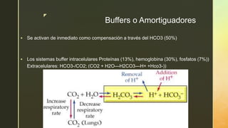 z
Buffers o Amortiguadores
 Se activan de inmediato como compensación a través del HCO3 (50%)
 Los sistemas buffer intracelulares Proteínas (13%), hemoglobina (30%), fosfatos (7%))
Extracelulares: HCO3-/CO2; (CO2 + H2O—H2CO3—H+ +Hco3-))
 