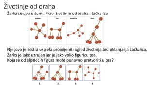 Životinje od oraha
Žarko se igra u šumi. Pravi životinje od oraha i čačkalica.
Njegova je sestra uspjela promijeniti izgled životinja bez uklanjanja čačkalica.
Žarko je jako uzrujan jer je jako volio figuricu psa.
Koja se od sljedećih figura može ponovno pretvoriti u psa?
 