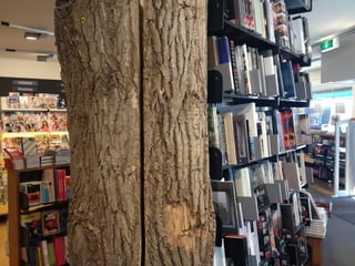 Día da biblioteca 2014-15