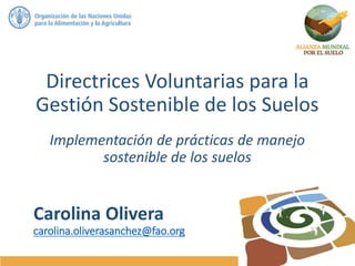 Carolina Olivera
carolina.oliverasanchez@fao.org
Directrices Voluntarias para la
Gestión Sostenible de los Suelos
Implementación de prácticas de manejo
sostenible de los suelos
 
