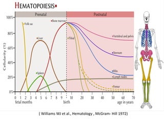 ( Williams WJ et al., Hematology , McGram- Hill 1972)
 