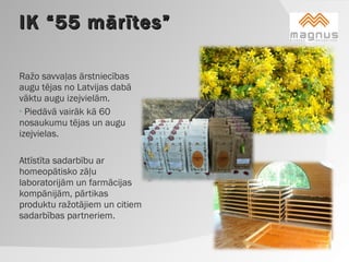 IK “55 mārītes” Ražo savvaļas ārstniecības augu tējas no Latvijas dabā vāktu augu izejvielām. Piedāvā vairāk kā 60 nosaukumu tējas un augu izejvielas. Attīstīta sadarbību ar homeopātisko zāļu laboratorijām un farmācijas kompānijām, pārtikas produktu ražotājiem un citiem sadarbības partneriem. 