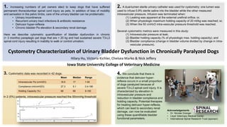 Cystometry Characterization of Urinary Bladder Dysfunction in Chronically Paralyzed Dogs
Hilary Hu, Victoria Kichler, Chelsea Marko & Nick Jeffery
Iowa State University College of Veterinary Medicine
1. Increasing numbers of pet owners elect to keep dogs that have suffered
permanent thoracolumbar spinal cord injury as pets. In addition of loss of mobility
and sensation in the pelvic limbs, care of the urinary bladder can be problematic:
• Urinary incontinence
• Recurrent urinary tract infections & antibiotic resistance
• Detrusor hyper-reflexia
• Chronic bladder Pa elevation & secondary renal damage
Here we describe cytometric quantification of bladder dysfunction in chronic
(> 3 months) paraplegic pet dogs that are < 20 kg and had sustained severe T3-L3
spinal cord injury resulting in inability to walk or control urination.
2. A dual-lumen sterile urinary catheter was used for cystometry: one lumen was
used to infuse 0.9% sterile saline into the bladder while the other measured
intravesicular pressure. Infusion was terminated when:
(1) Leaking was apparent at the external urethral orifice; or,
(2) When physiologic maximum holding capacity of 20 ml/kg was reached; or,
(3) When the 50 cmH2O intra-vesicular pressure threshold was reached.
Several cystometric metrics were measured in this study:
(1) Intravesicular pressure at leak;
(2) Bladder holding capacity (% of physiologic max. holding capacity); and
(3) Bladder compliance (change in bladder volume divided by change in intra-
vesicular pressure).
3. Cystometric data was recorded in 42 dogs:
Mean Median Range
Intravesicular Pa (cmH2O) 18.6 17 1-50
Compliance (ml/cmH2O) 27.3 5.1 0.4-180
Holding Capacity (%) 68 68 9-100
In 2 (5%) patients, intravesicular pressure reached the 50mmHg threshold
4. We conclude that there is
evidence that detrusor hyper-
reflexia occurs in a small proportion
of dogs paralyzed because of
severe T3-L3 spinal cord injury. It is
characterized by elevation in
intravesicular pressure and
reduction in bladder compliance and
holding capacity. Potential therapies
for treating detrusor hyper-reflexia,
which can lead to secondary renal
damage, can now be evaluated
using these quantifiable bladder
functional parameters.
Acknowledgements
• Dr. Nicolas Granger
• Lloyd Veterinary Medical Center
• International Spinal Research Trust (sponsor)
 