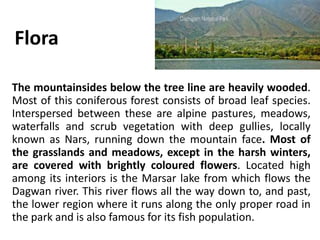 Flora
The mountainsides below the tree line are heavily wooded.
Most of this coniferous forest consists of broad leaf species.
Interspersed between these are alpine pastures, meadows,
waterfalls and scrub vegetation with deep gullies, locally
known as Nars, running down the mountain face. Most of
the grasslands and meadows, except in the harsh winters,
are covered with brightly coloured flowers. Located high
among its interiors is the Marsar lake from which flows the
Dagwan river. This river flows all the way down to, and past,
the lower region where it runs along the only proper road in
the park and is also famous for its fish population.
 