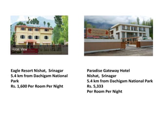 Eagle Resort Nishat, Srinagar
5.4 km from Dachigam National
Park
Rs. 1,600 Per Room Per Night
Paradise Gateway Hotel
Nishat, Srinagar
5.4 km from Dachigam National Park
Rs. 5,333
Per Room Per Night
 