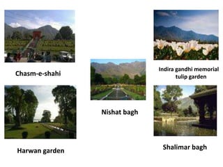 Chasm-e-shahi
Harwan garden
Indira gandhi memorial
tulip garden
Shalimar bagh
Nishat bagh
 