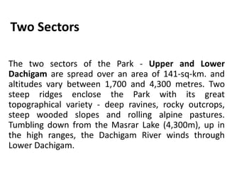 Two Sectors
The two sectors of the Park - Upper and Lower
Dachigam are spread over an area of 141-sq-km. and
altitudes vary between 1,700 and 4,300 metres. Two
steep ridges enclose the Park with its great
topographical variety - deep ravines, rocky outcrops,
steep wooded slopes and rolling alpine pastures.
Tumbling down from the Masrar Lake (4,300m), up in
the high ranges, the Dachigam River winds through
Lower Dachigam.
 
