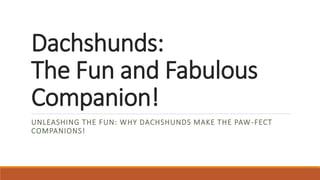 Dachshunds:
The Fun and Fabulous
Companion!
UNLEASHING THE FUN: WHY DACHSHUNDS MAKE THE PAW-FECT
COMPANIONS!
 