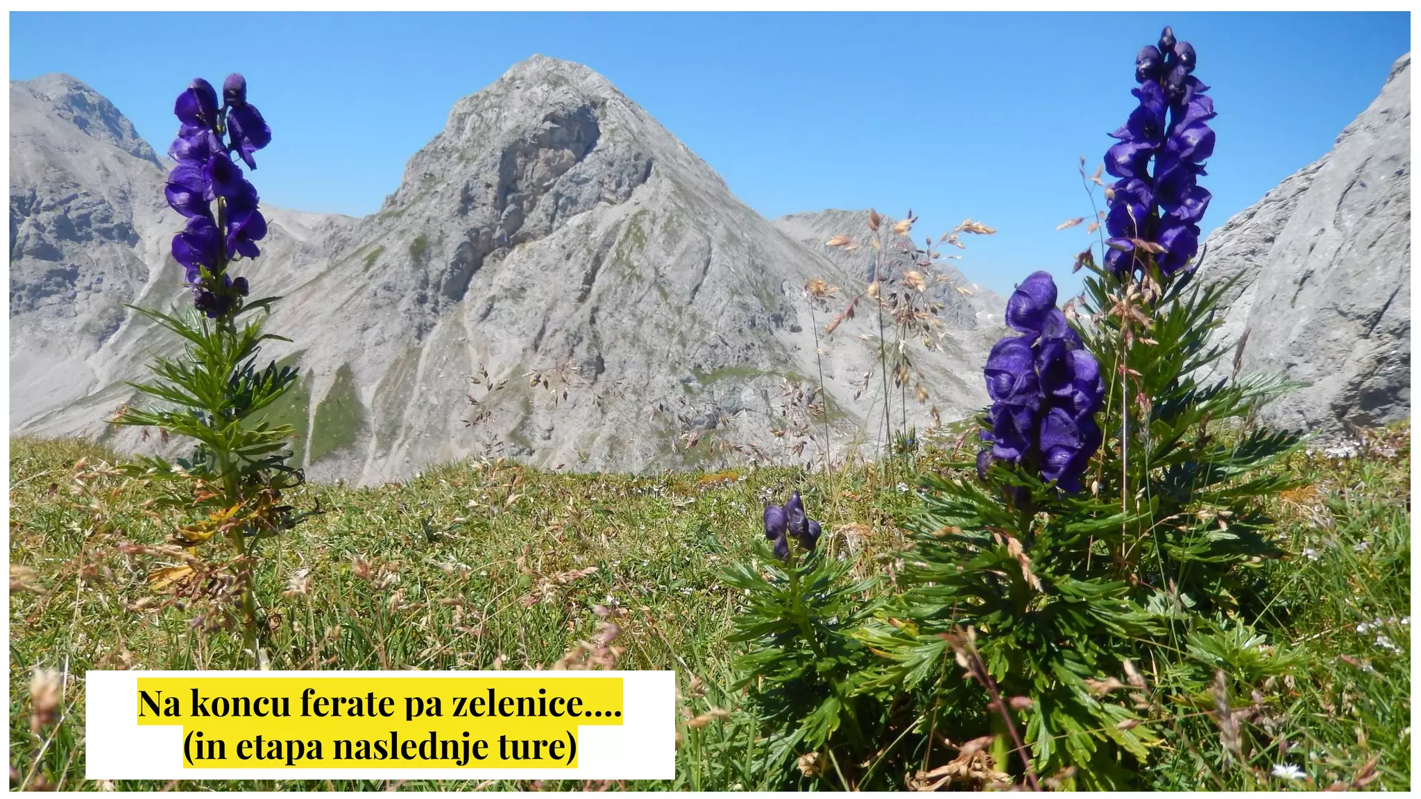 Na koncu ferate pa zelenice….
(in etapa naslednje ture)
 