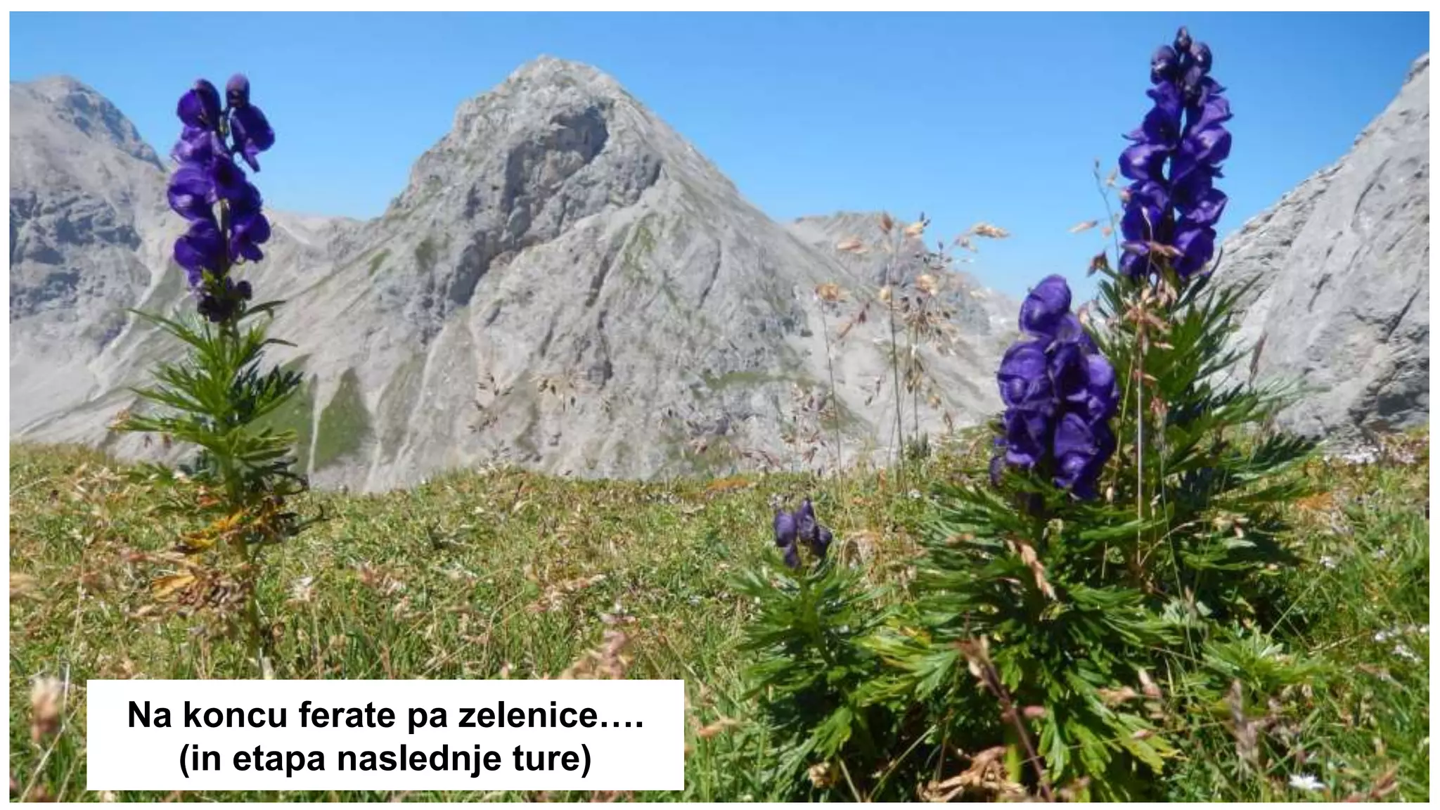 Na koncu ferate pa zelenice….
(in etapa naslednje ture)
 