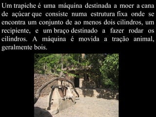 Um trapiche é uma máquina destinada a moer a cana
de açúcar que consiste numa estrutura fixa onde se
encontra um conjunto de ao menos dois cilindros, um
recipiente, e um braço destinado a fazer rodar os
cilindros. A máquina é movida a tração animal,
geralmente bois.

 