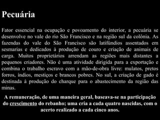 Pecuária
Fator essencial na ocupação e povoamento do interior, a pecuária se
desenvolve no vale do rio São Francisco e na região sul da colônia. As
fazendas do vale do São Francisco são latifúndios assentados em
sesmarias e dedicados à produção de couro e criação de animais de
carga. Muitos proprietários arrendam as regiões mais distantes a
pequenos criadores. Não é uma atividade dirigida para a exportação e
combina o trabalho escravo com a mão-de-obra livre: mulatos, pretos
forros, índios, mestiços e brancos pobres. No sul, a criação de gado é
destinada à produção do charque para o abastecimento da região das
minas.
A remuneração, de uma maneira geral, baseava-se na participação
do crescimento do rebanho; uma cria a cada quatro nascidas, com o
acerto realizado a cada cinco anos.

 