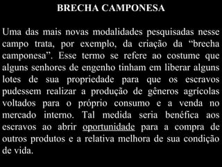 BRECHA CAMPONESA
Uma das mais novas modalidades pesquisadas nesse
campo trata, por exemplo, da criação da “brecha
camponesa”. Esse termo se refere ao costume que
alguns senhores de engenho tinham em liberar alguns
lotes de sua propriedade para que os escravos
pudessem realizar a produção de gêneros agrícolas
voltados para o próprio consumo e a venda no
mercado interno. Tal medida seria benéfica aos
escravos ao abrir oportunidade para a compra de
outros produtos e a relativa melhora de sua condição
de vida.

 