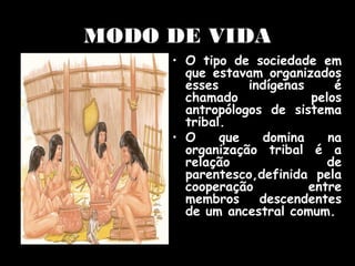 MODO DE VIDA
• O tipo de sociedade em
que estavam organizados
esses
indígenas
é
chamado
pelos
antropólogos de sistema
tribal.
que
domina
na
• O
organização tribal é a
relação
de
parentesco,definida pela
cooperação
entre
membros
descendentes
de um ancestral comum.

 