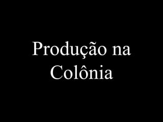 Produção na
Colônia

 