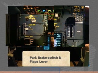 Park Brake switch &
Flaps Lever
 