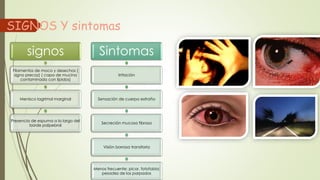 SIGNOS Y sintomas
signos
Filamentos de moco y desechos (
signo precoz) ( capa de mucina
contaminada con lípidos)
Menisco lagrimal marginal
Presencia de espuma a lo largo del
borde palpebral
Sintomas
irritación
Sensación de cuerpo extraño
Secreción mucosa fibrosa
Visión borrosa transitoria
Menos frecuente: picor, fotofobia;
pesadez de los parpados
 