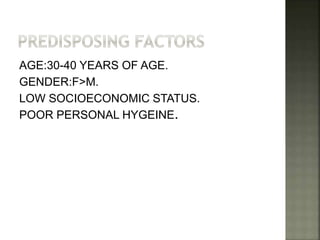 AGE:30-40 YEARS OF AGE.
GENDER:F>M.
LOW SOCIOECONOMIC STATUS.
POOR PERSONAL HYGEINE.
 