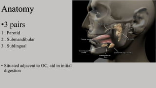 Anatomy
•3 pairs
1 . Parotid
2 . Submandibular
3 . Sublingual
• Situated adjacent to OC, aid in initial
digestion
 
