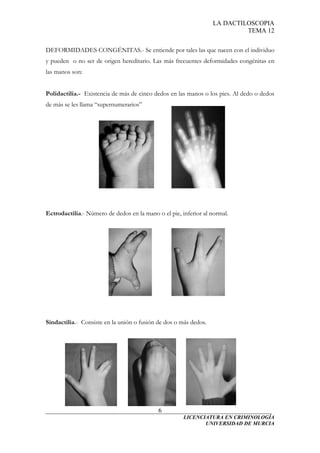 Dactilogramas | PDF