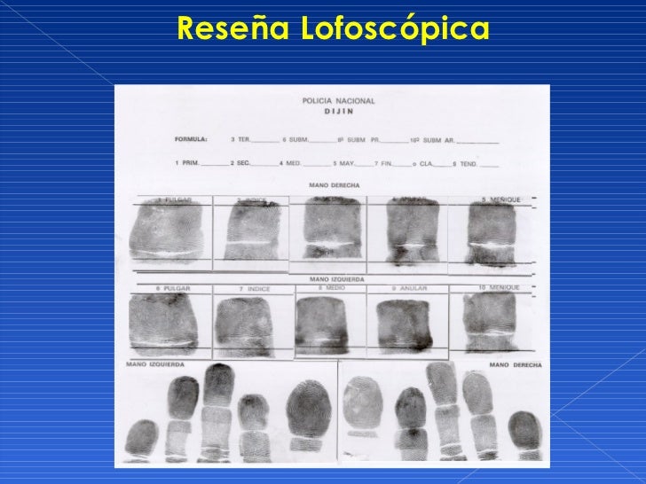 Dactiloscopia