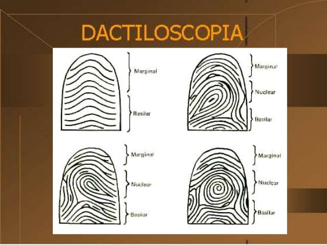 Dactiloscopia