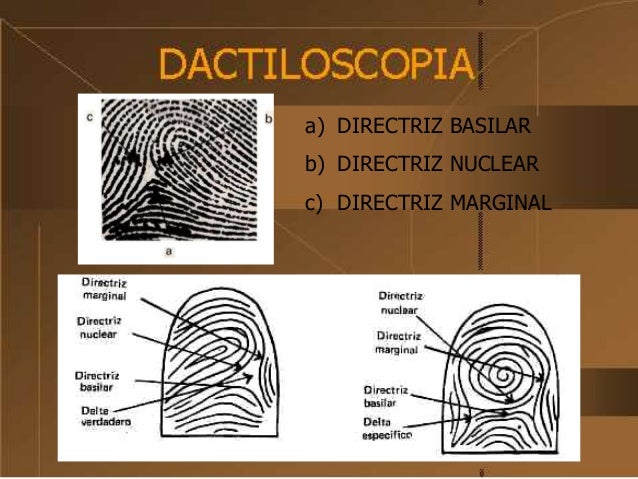 Dactiloscopia
