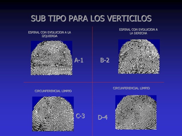 Vertillon Dactiloscopia | PPT