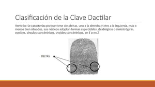 Vertificilo Dactiloscopía en el ámbito forense y actual en latinoamerica.pptx