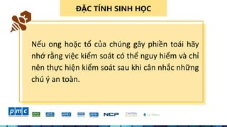 ĐẶC TÍNH SINH HỌC
Nếu ong hoặc tổ của chúng gây phiền toái hãy
nhớ rằng việc kiểm soát có thể nguy hiểm và chỉ
nên thực hiện kiểm soát sau khi cân nhắc những
chú ý an toàn.
 